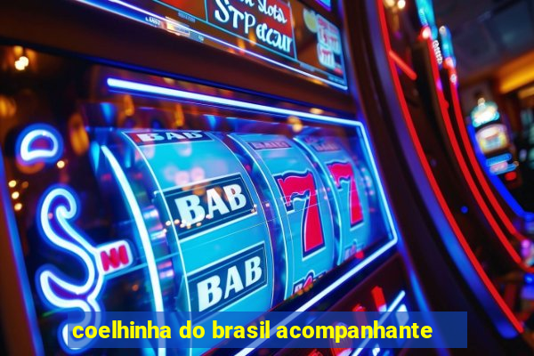 coelhinha do brasil acompanhante